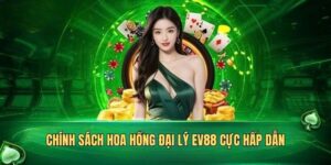 Tìm hiểu về đại lý EV88