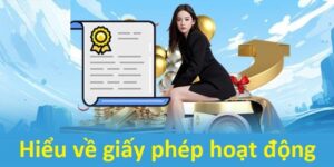 Các giấy phép thuộc quyền sở hữu của TG88